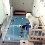 DIY Mesh Pet Cage (Whole Set) - 