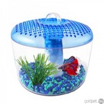 http://www.lazada.com.my/betta-torus-aquarium-3l-blue-100584785.html