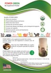 Power Green Bio Supplement Vitamin Powder For Cat And Dog - New Improved Formula Fortified With Nano - 