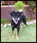 May 2012: Enjoying the garden at her foster home