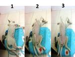 3 steps for her to slp in very hot weather ! xD