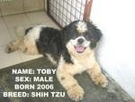i m in SPCA...nobody want me.i make noise cos i 1more attention,more love,n i dun like b chained