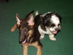 dis my B.R.O.T.H.E.R.v love2work2gether.wok wat?do somting bad2let our mum angry lo!