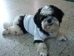 my mumy12let my fur long but temporary stil canot tie my hair,so looked untidy...