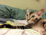 Getting ready for bed
