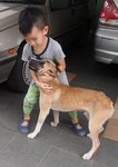 Salty (Am Great With Childrens) - Mixed Breed Dog