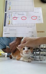Mr Stripey vaccinated on 18 October 2014 at a cost of RM50