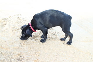Mindy loves the beach