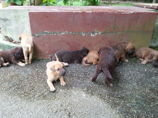 Took them out of car park to take pictures. 