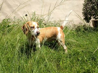 Running In the Grass