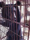 Updates On 12th Jan 2012