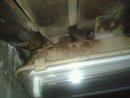 Updates On 5th May 2012