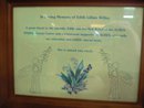 Updates On 8th May 2012