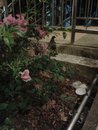 Updates On 9th May 2012