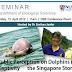What Do Ordinary Singaporeans Think Of Dolphins In Captivity?