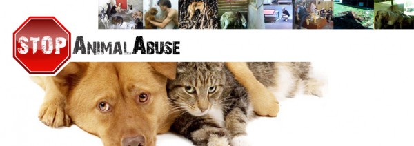 Animal Welfare Bill: A Step In The Right Direction | Tan Sri Lee Lam Thye | WAGazine Animal Welfare Bill: A Step In The Right Direction | Tan Sri Lee Lam Thye | WAGazine