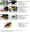 Updates On 11th Jul 2012