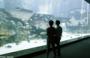 No Dolphins At Marine Life Park Opening