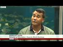 Singapore’s Dolphinarium Makes Waves BBC News