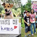 PetProjects – Saving Lives Creatively