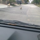 On My Way Home Today…
