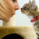 Sebelum Bawa Balik Kitten….