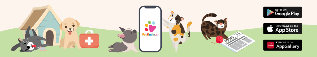 PetFinder.my Mobile App