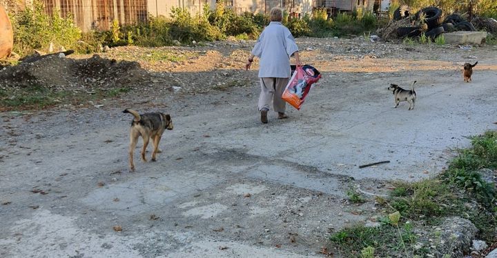 Happy Friday From Bosnia Where Everyday Is Street ..