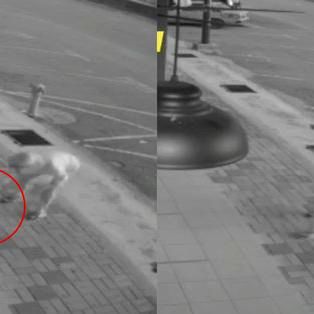 Melaka Woman Caught On Cctv Repeatedly Throwing A Sleeping Kitten To The Ground