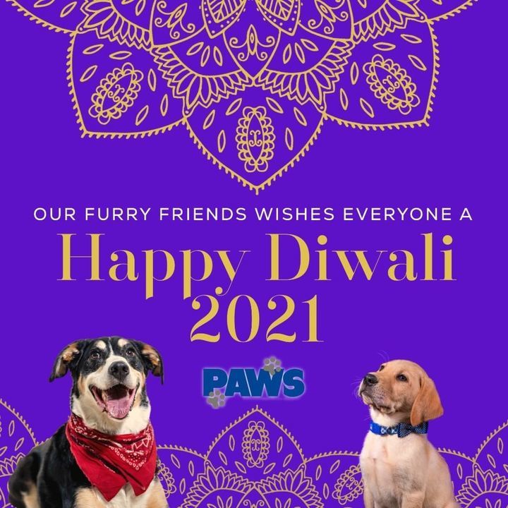 Our Furry Friends At Paws Wishes Everyone A Happy ..