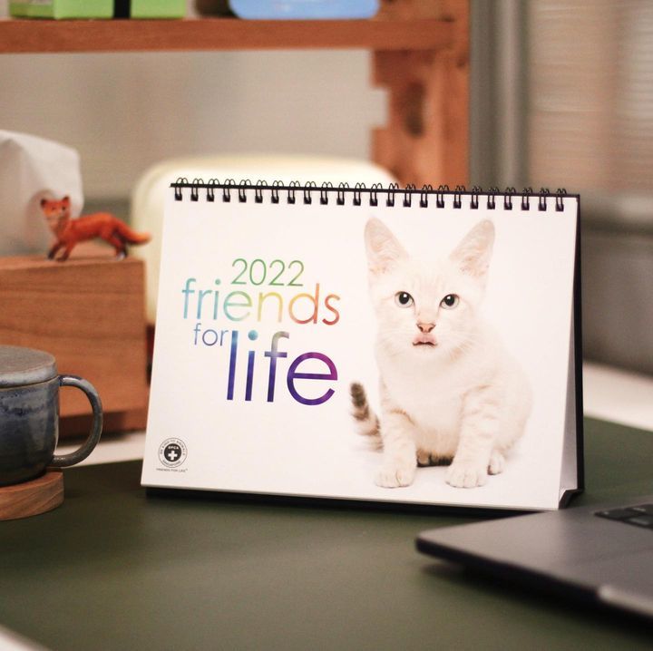 Spca Calendars Are Back. Planning Your Schedule An..