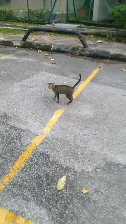 Orang Ramai Bukan Mangsa Banjir Dirayu Keluar Beri..