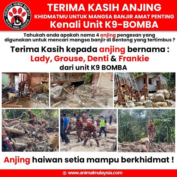 Khidmat Dan Peranan Anjing Amat Penting Ketika Ben..