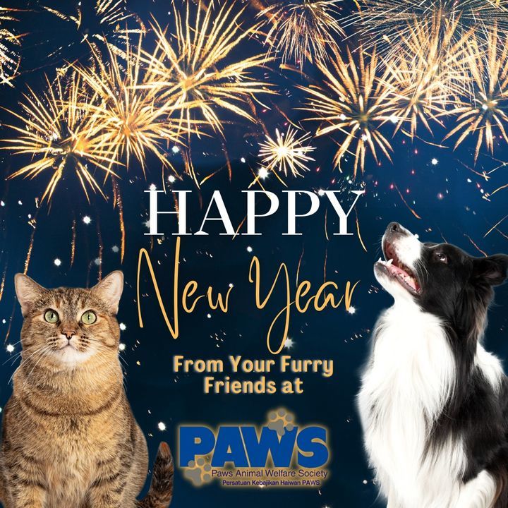 Happy New Year 2022 From The Furry Friends Of Paws..