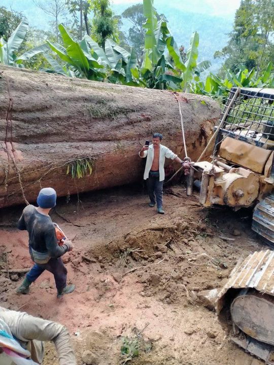 Banjir Besar Berlaku Bukan Disebabkan Pembalakan. ..