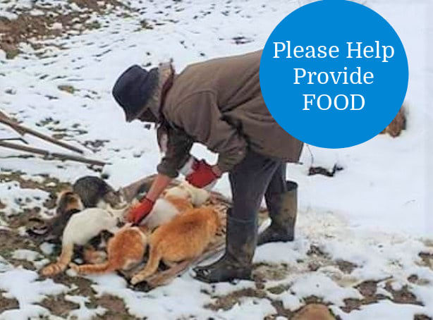 Winter Food Needed Immediately. Today We’re Asking..