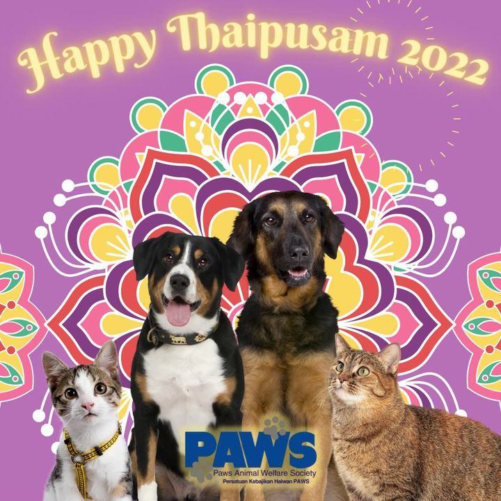 Happy Thaipusam From The Furry Friends Of Paws May..