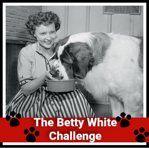 The Betty White Challenge Is A Jumbo Celebration I..