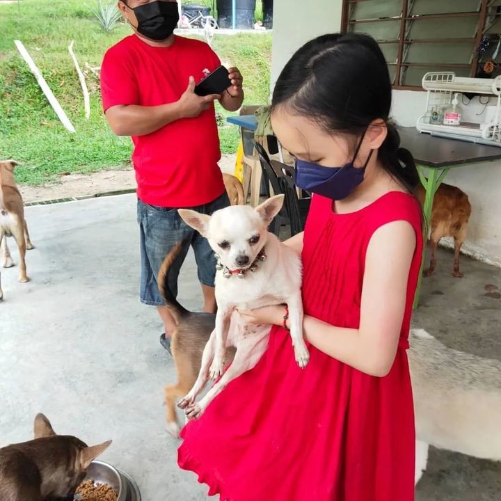 Fur Kids Have Cute Visitors On Chor 1. This Little..