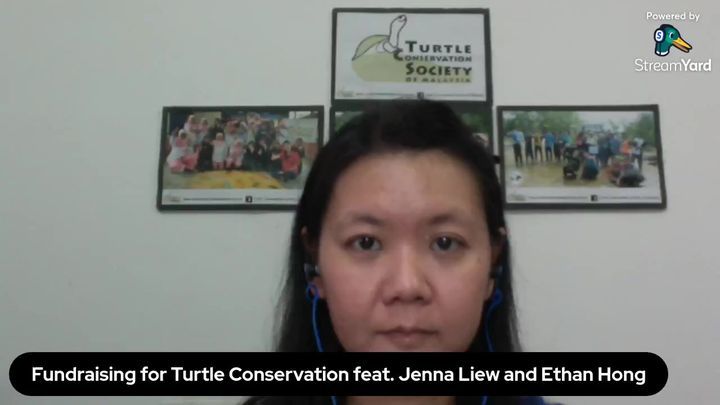 Fundraising For Turtle Conservation