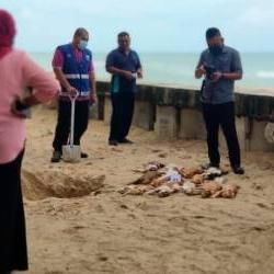 Police Open Ip On Discovery Of Dead Cats In Besut