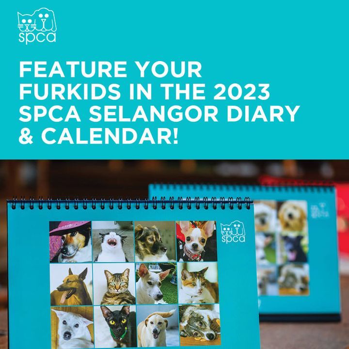 The Spca Calendar Diary Is An Annual Spca Fundrais..