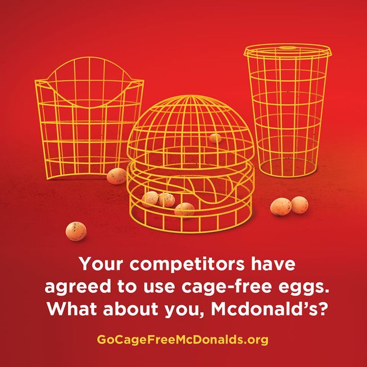 Go Cage-Free, Mcdonald’s. Urge Mcdonalds To Commit..