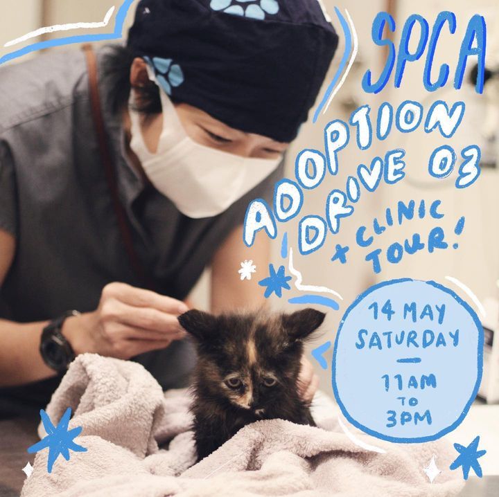 Spca Adoption Drive 03. Clinic Tour. Date 14 May 2..