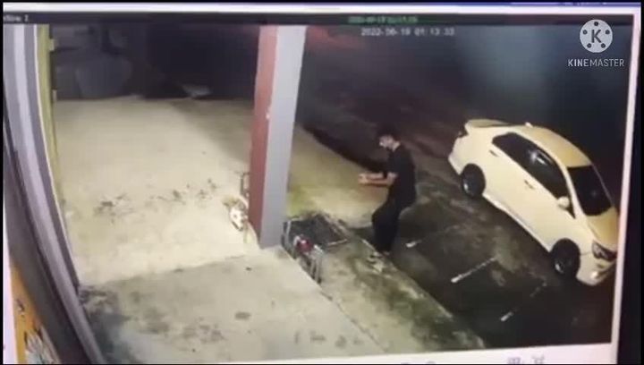 Kucing Ini Tidak Menyusahkan Sesiapa. Tidak Ganggu..