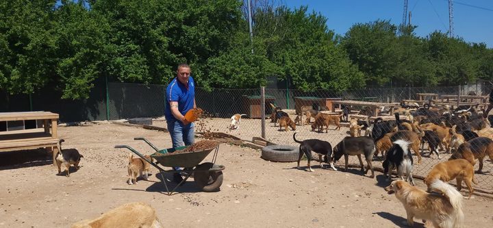 We Need Your Help Feeding 750 Hungry Dogs. Can You..