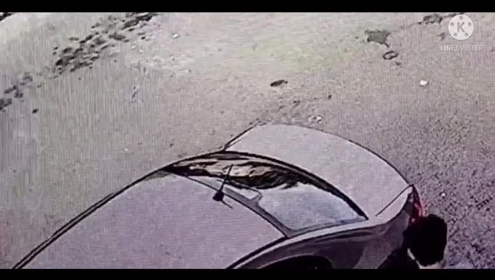 Video Pembuangan Kucing 2 Pembuangan Kucing Ini Pu..