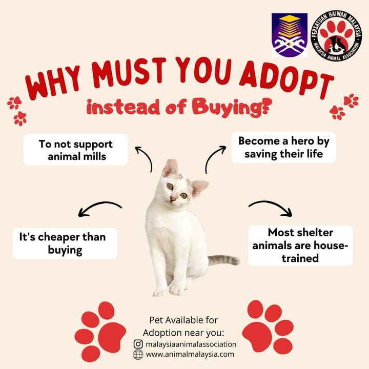 Kempen Adoption Dont Buy Dilancarkan Oleh Pelajar ..
