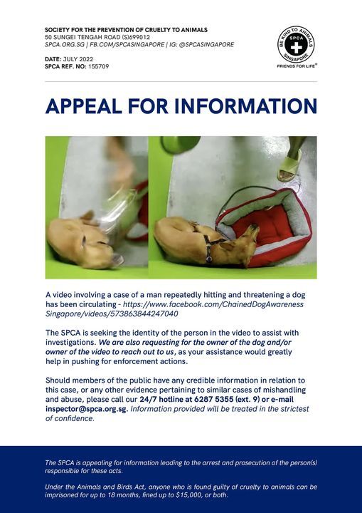 Appeal For Informationvideo Of Dog Abuse. Update. ..