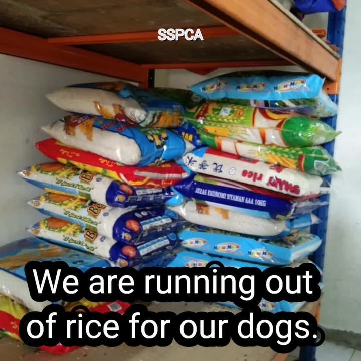 We Need Your Help In Sending Rice To Our Shelter. ..